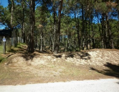 Terreno en Punta Ballena, Punta Ballena