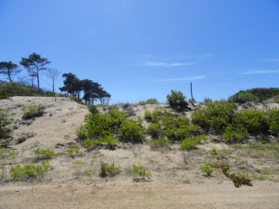 Terreno en Punta Ballena, Chihuahua