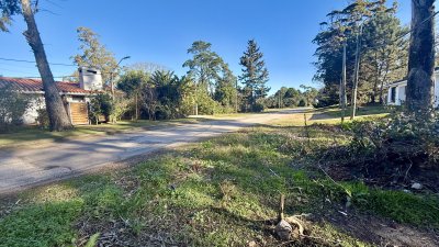 TERRENO PRÓXIMO A CNO A LA LAGUNA!