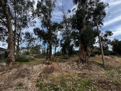 Terreno en zona residencial