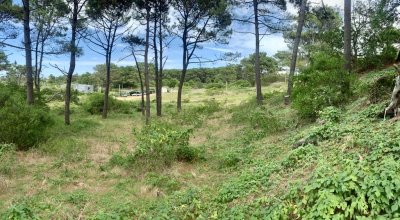 OPORTUNIDAD DE INVERSIÓN !!!  