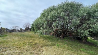 SE VENDE TERRENO EN PUNTA DEL ESTE
