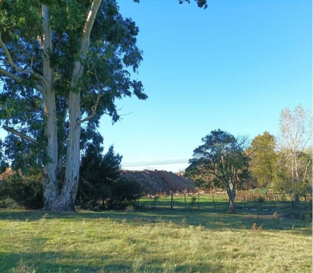 Chacra Punta de Rieles