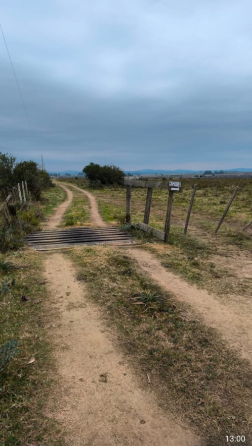 Venta Chacra 5 ha en Cañada Bellaca