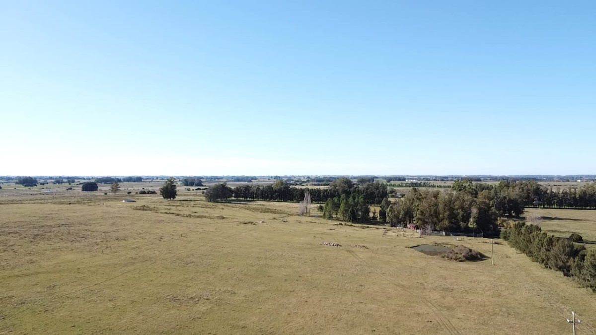 venta de campo con casa en Maldonado, Abra Perdomo 
