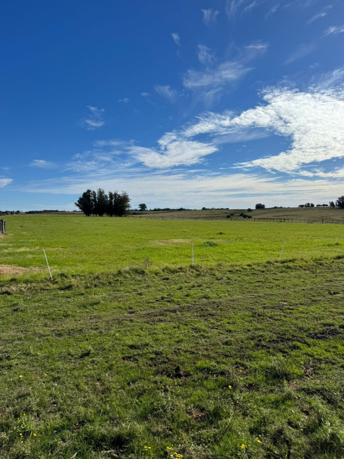 Venta de Campo de 21 Ha en Jose Ignacio