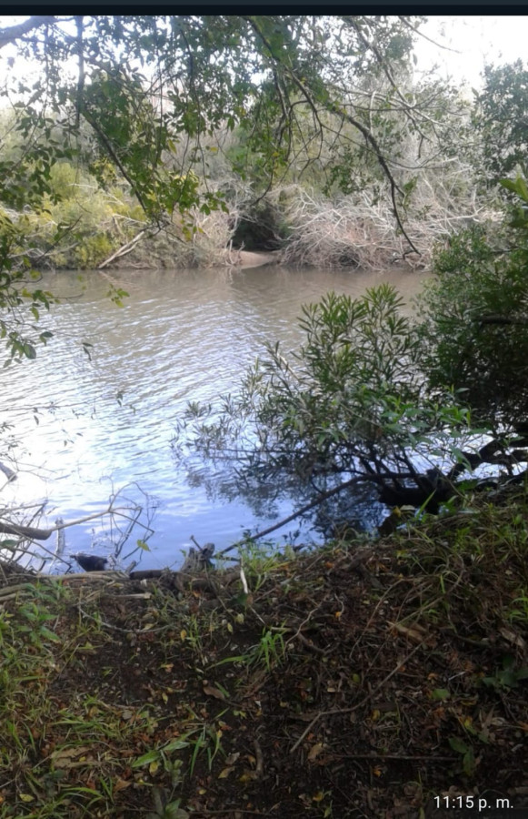 Venta de campo de 22 Ha en Zanja de Chavez