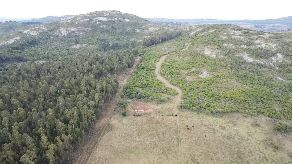 Venta de Campo de 25 Ha en 