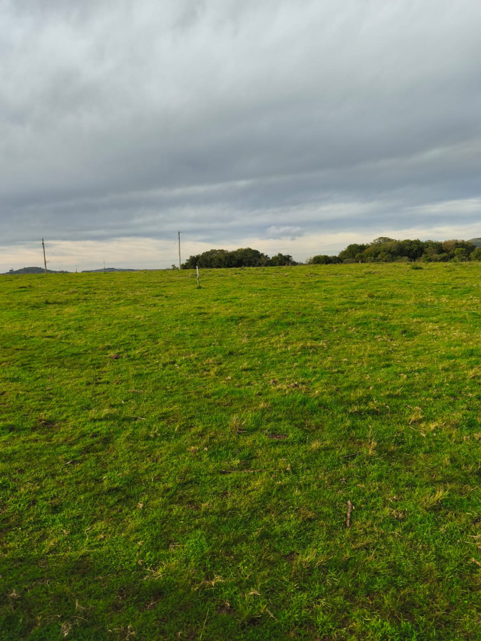 Venta de Campo de 20 Has en Pan de Azucar 