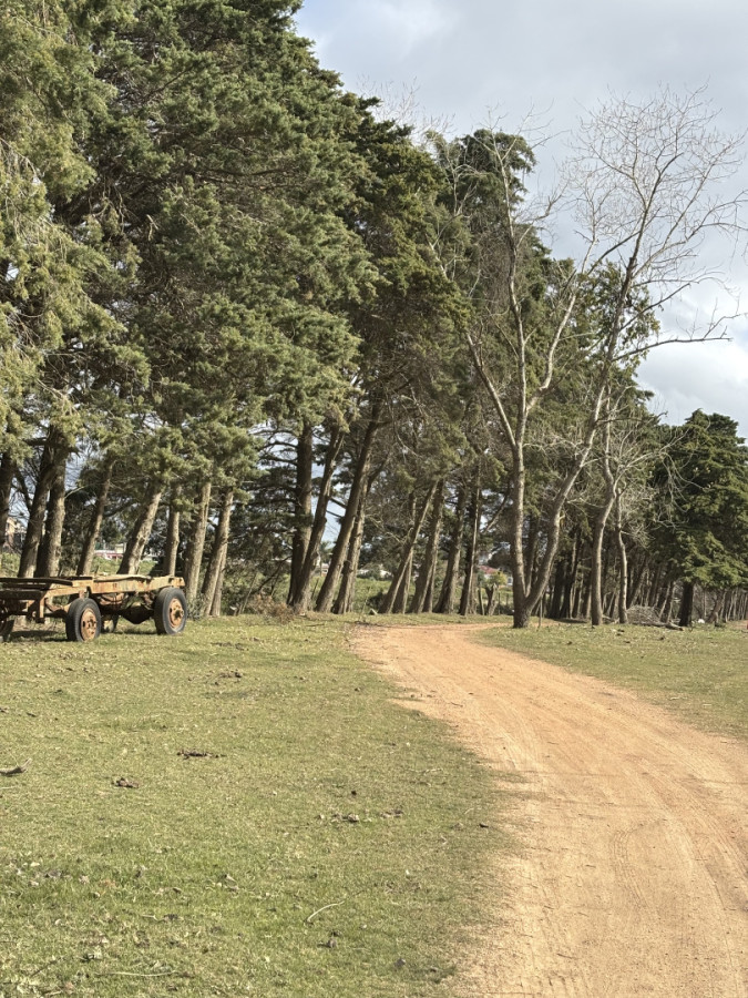 Venta de lotes lanzamiento nuevo fraccionamiento 