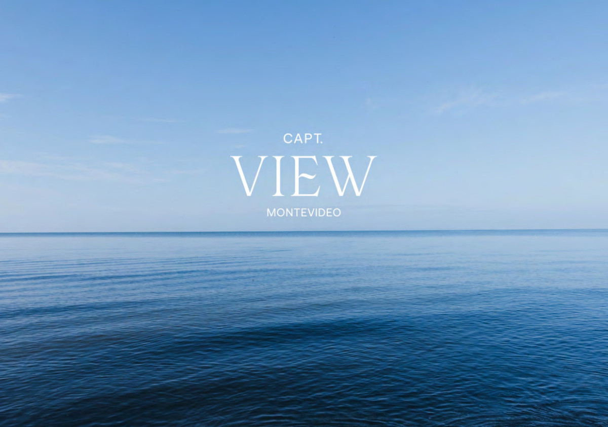 CAPT VIEW