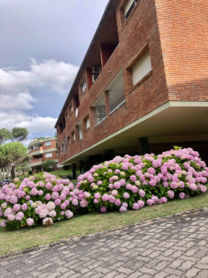 Apartamento en Arcobaleno 1 dormitorio