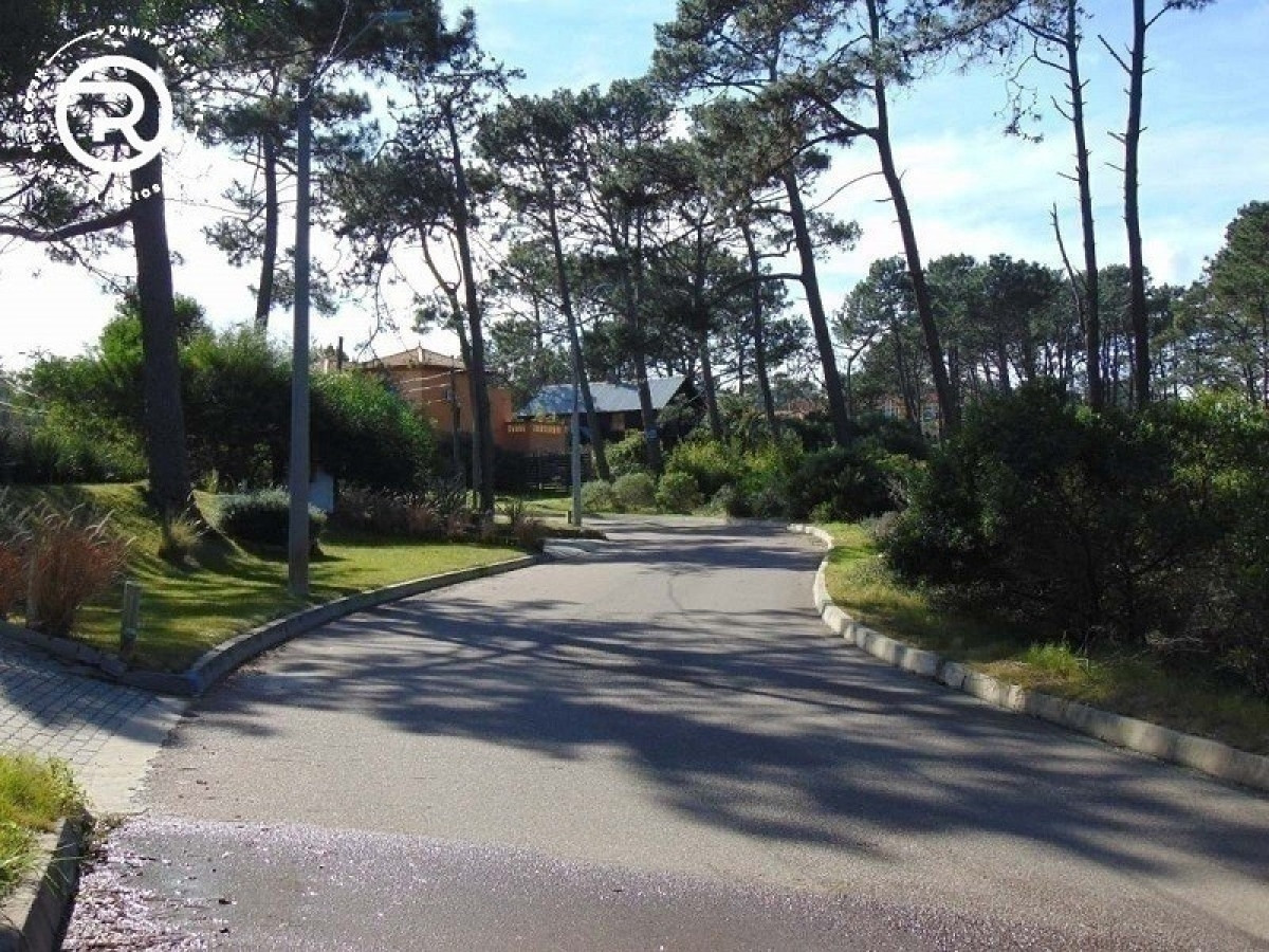 Terreno con gran superficie en Montoya.