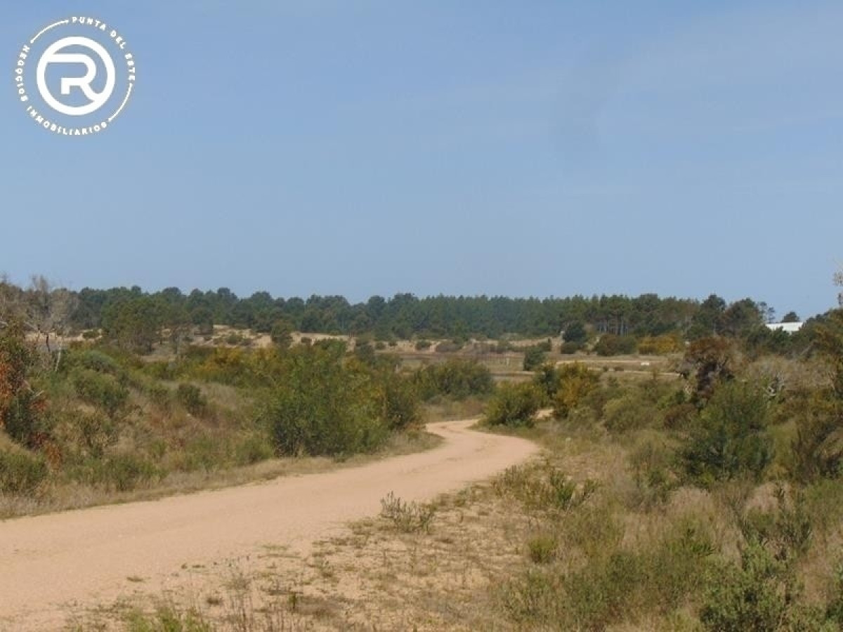 Terreno en venta en zona Arenas de José Ignacio