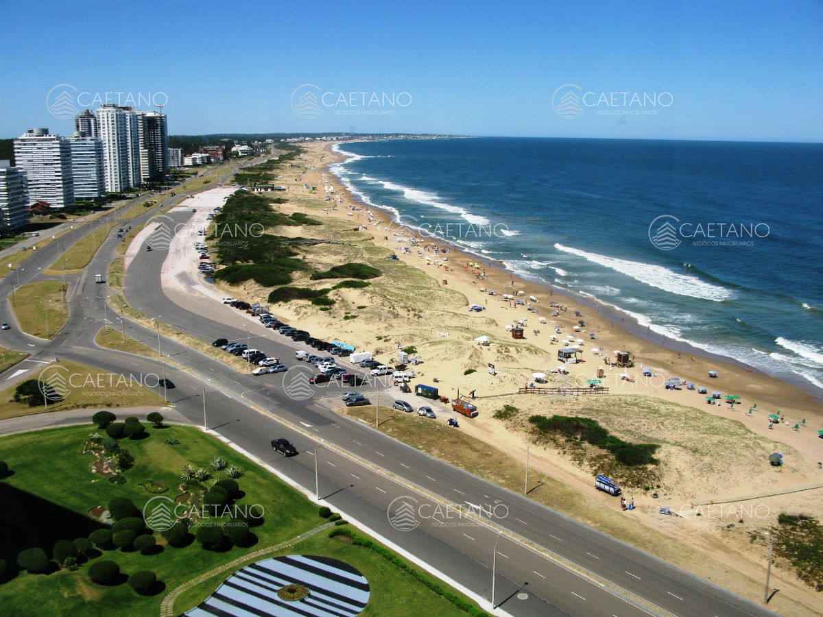 Brava - GoPunta - Portal Inmobiliario de Punta del Este - Maldonado