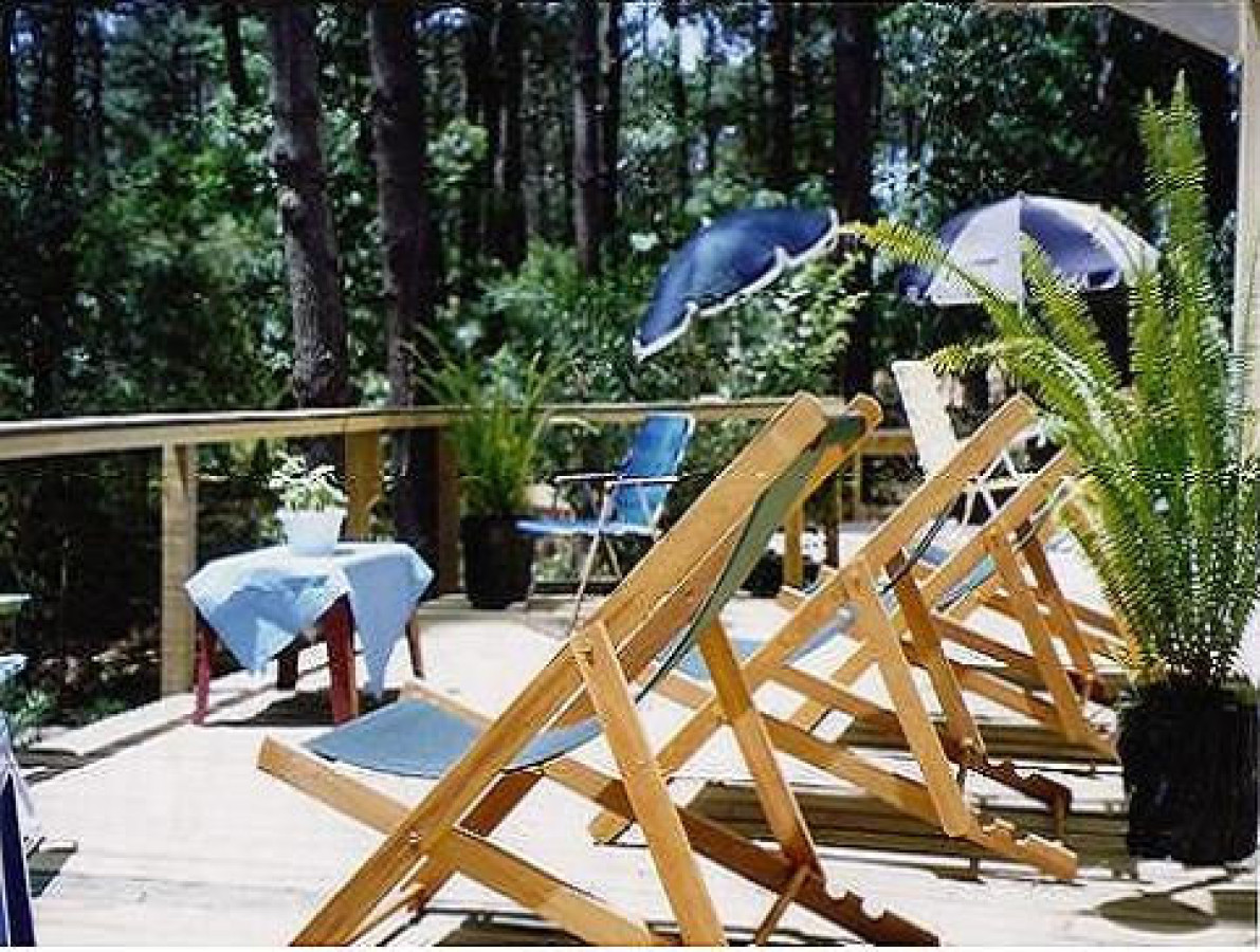 Tranquilidad Descanso Playa Bosque Pura Naturaleza.