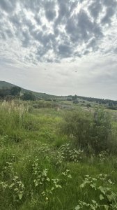 CHACRA EN PAN DE AZUCAR 