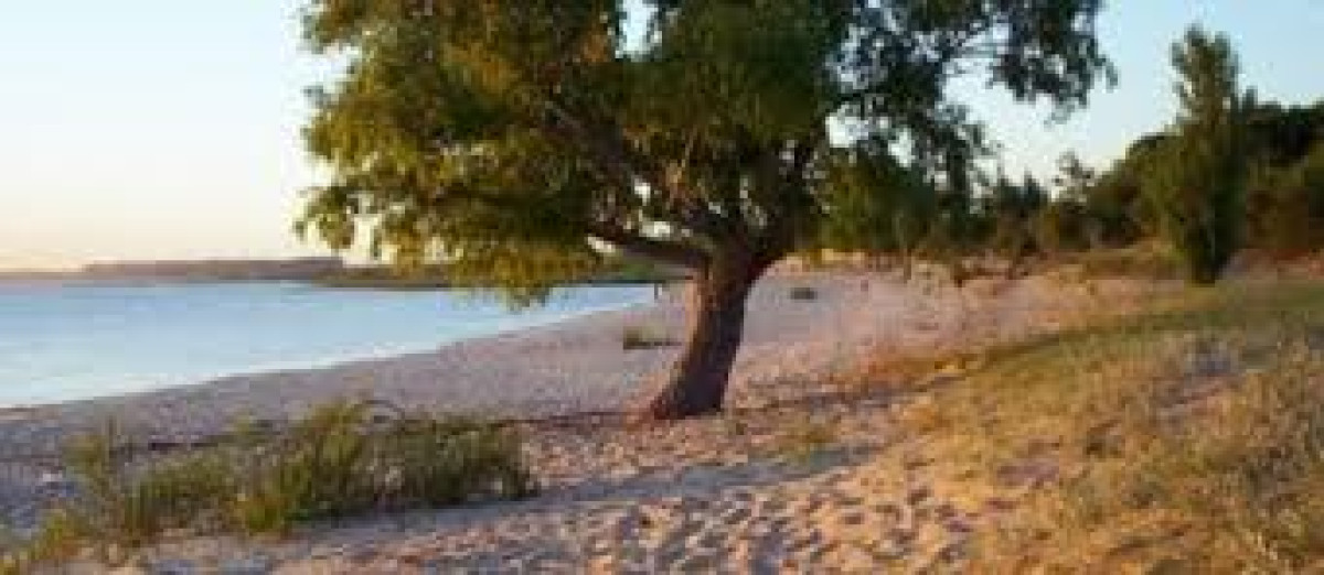 Venta Chacra en Juan Lacaze en Boca del Rosario 