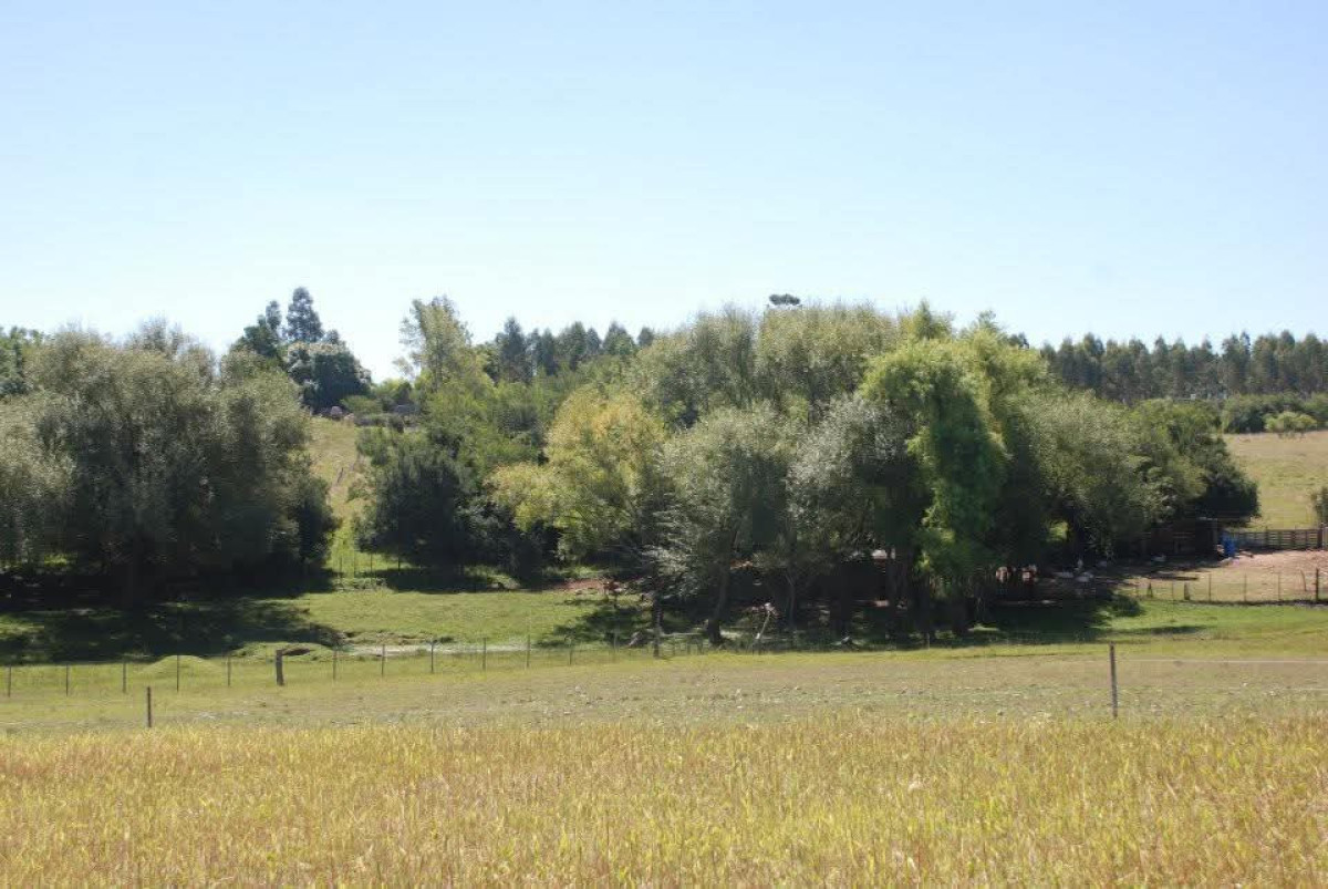 CHACRA EN VENTA CON CASA 