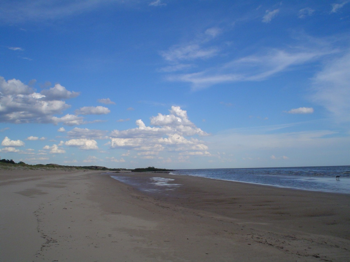 Venta Chacra 5 hectáreas en Juan Lacaze, con playa propia! 