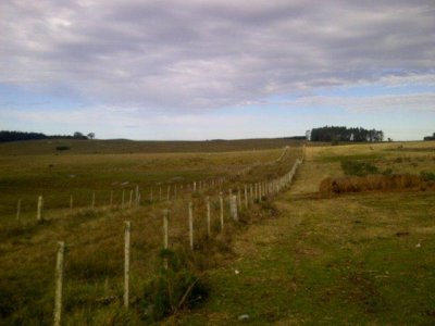 VENTA CAMPO EN ROCHA 6 PADRONES 206 Hás 