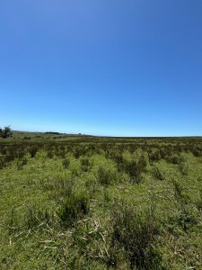 Increíble campo con fines varios 