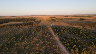 Venta de Chacra - Campo en Florida  