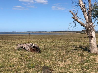 Venta Campo 26.5 Has - José Ignacio - Ideal Emprendimiento Turístico - Zona de Polo 