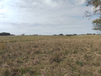 CAMPO A LA VENTA DE 22 HA. RUTA 9 -   