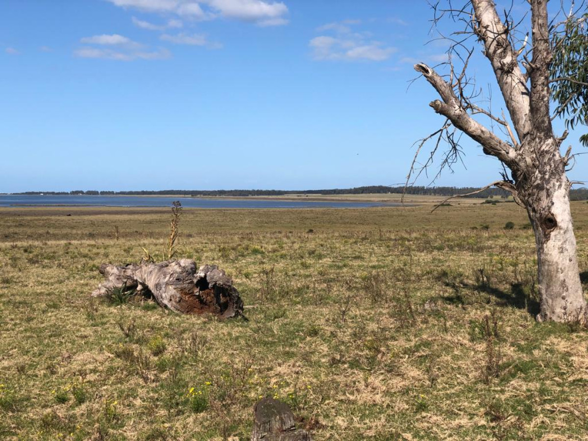 Venta Campo 8.5 Has - José Ignacio - Ideal Emprendimiento Turístico - Zona de Polo
