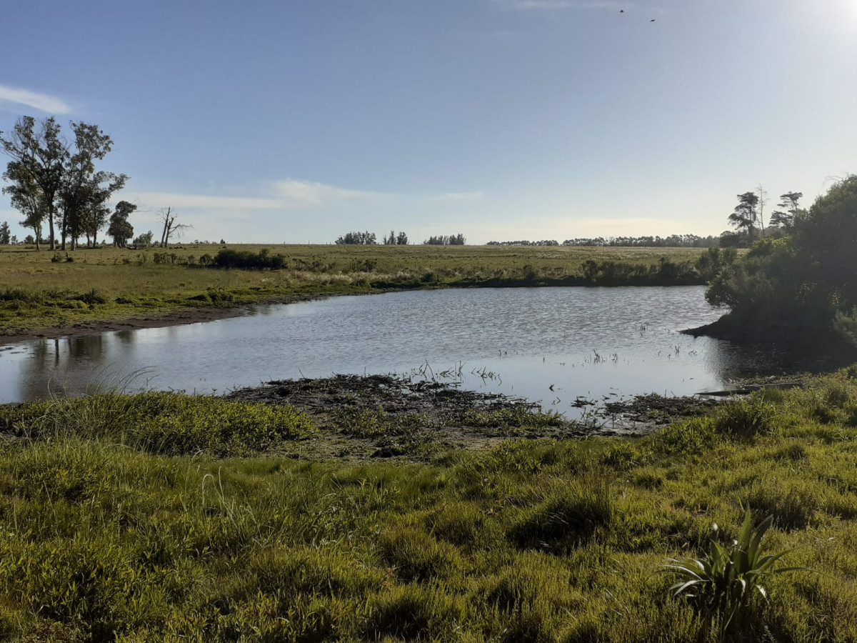 23 Hás en venta destino Agrícola - Ganadero