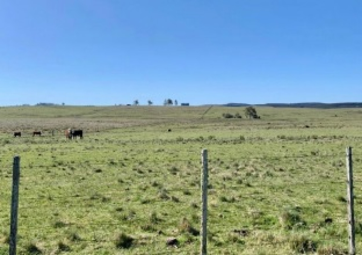 Campo Agrícola-Ganadero Lavalleja