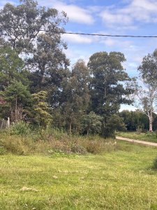 Terreno esquinero en Golf - Punta del Este a metros de Pedragosa Sierra 