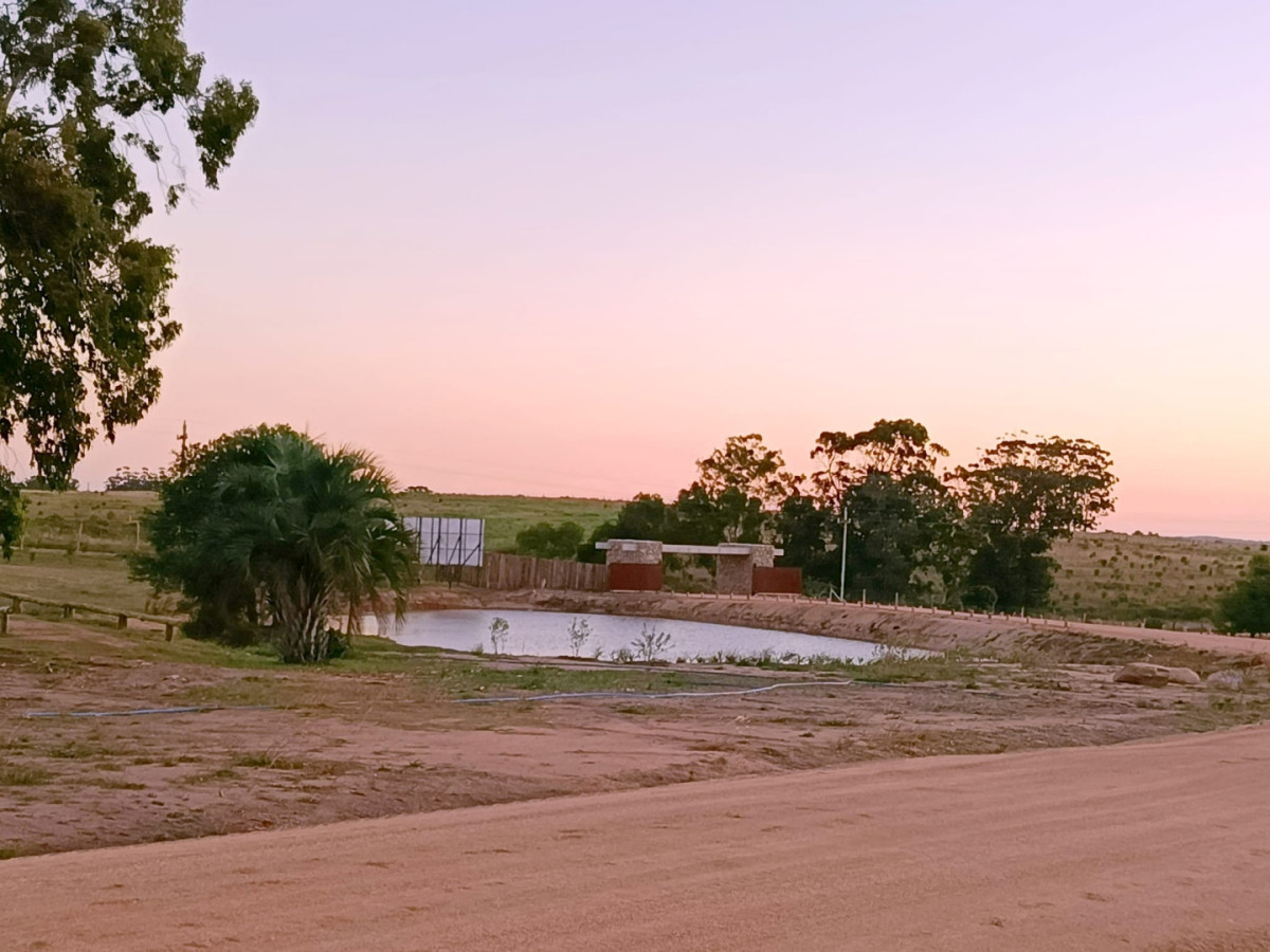 Vende terreno 5000 metros en Barrio privado de José Ignacio