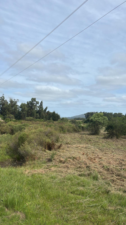 TERRENO PAN DE AZUCAR