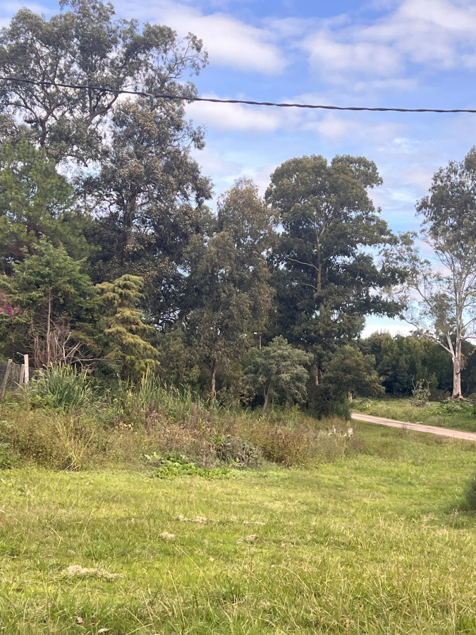 Terreno esquinero en Golf - Punta del Este a metros de Pedragosa Sierra