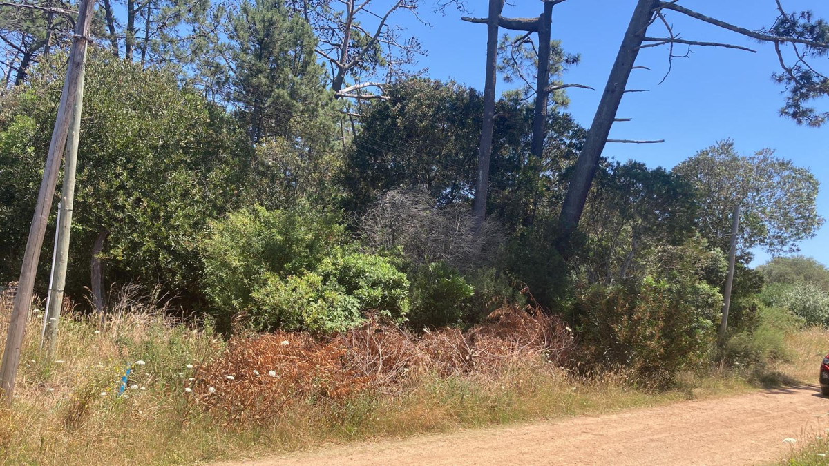 VENDO TERRENOS EN OCEAN PARK