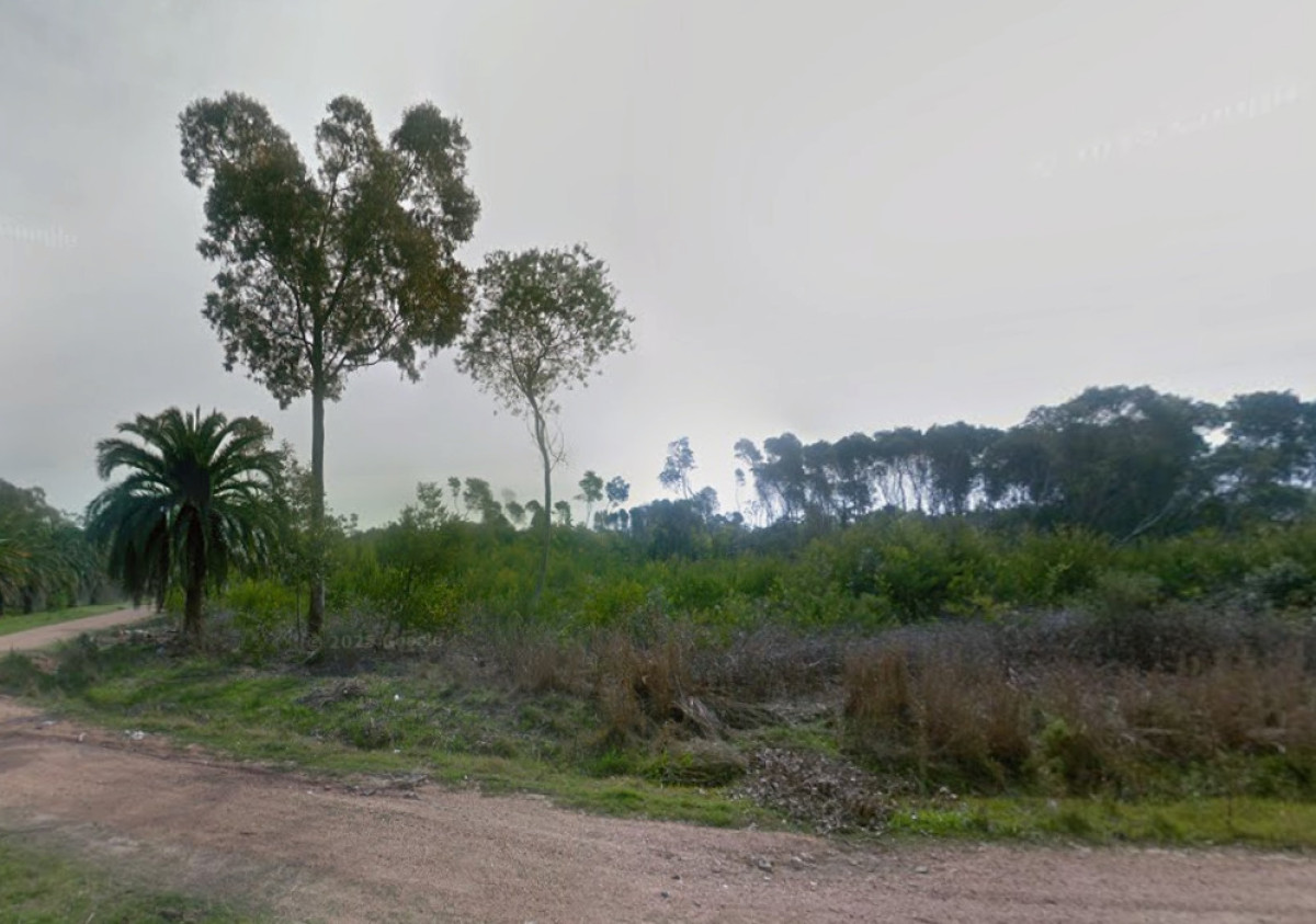 DOS TERRENOS LINDEROS A LA VENTA 700 M2 C/U