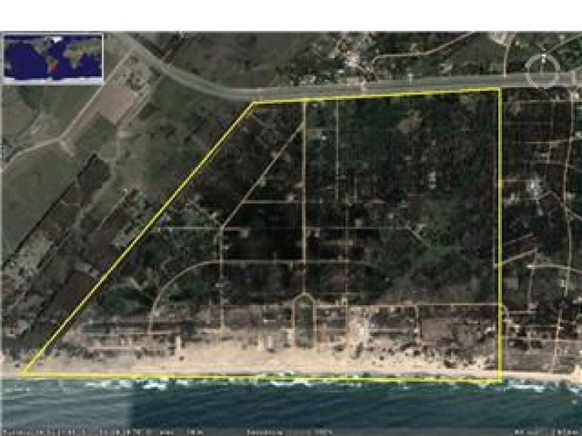 SAUCE DE POSTEZUELO SOBRE LA RUTA ESQUINA 