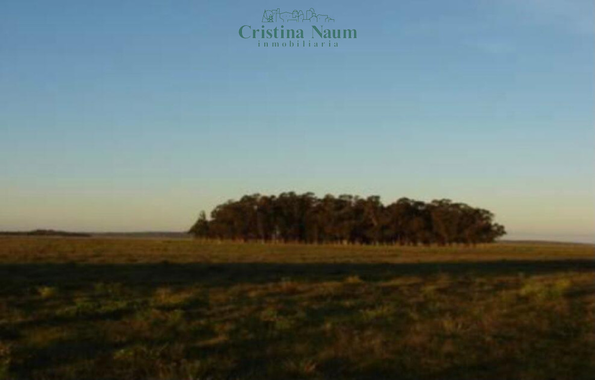 Laguna Garzón - GoPunta - Portal Inmobiliario de Punta del Este - Maldonado