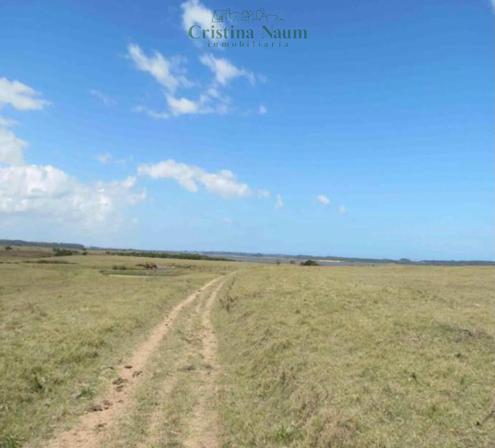 Laguna Garzón - GoPunta - Portal Inmobiliario de Punta del Este - Maldonado