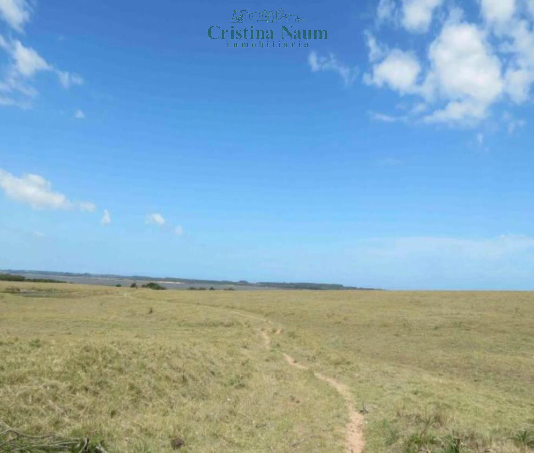 Laguna Garzón - GoPunta - Portal Inmobiliario de Punta del Este - Maldonado
