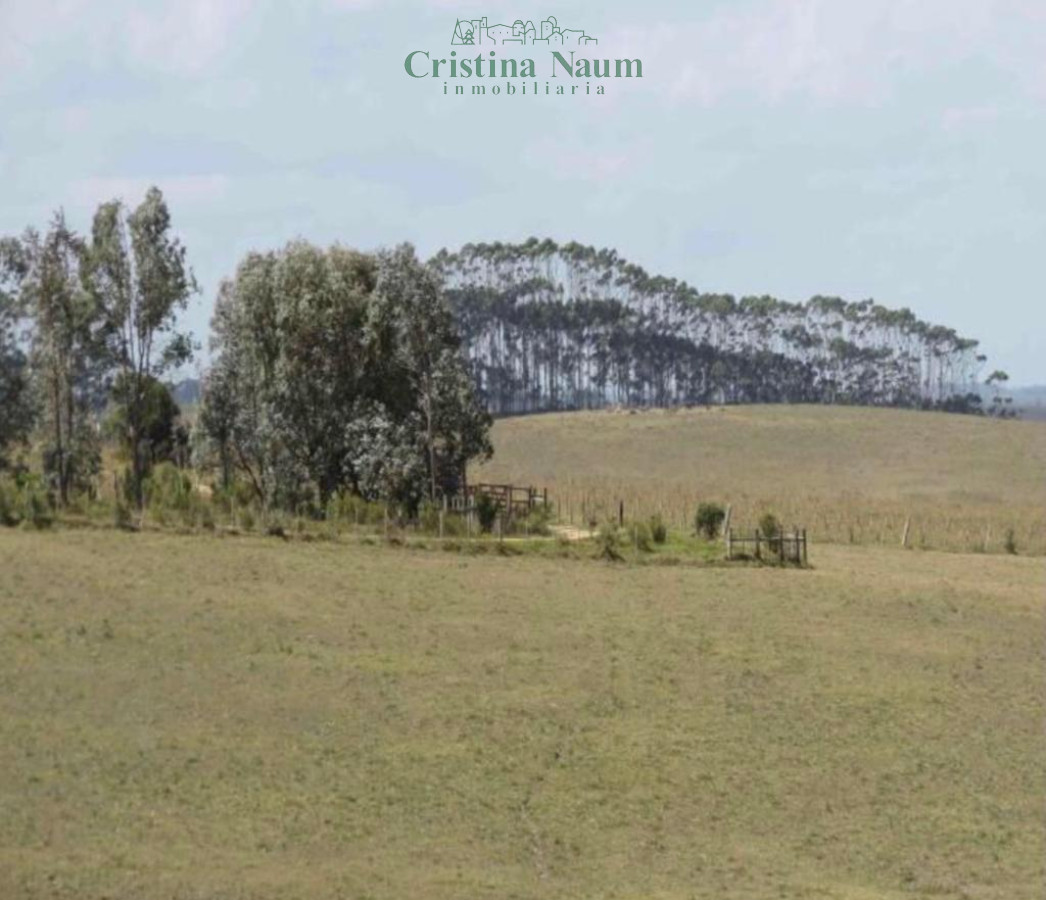 Laguna Garzón - GoPunta - Portal Inmobiliario de Punta del Este - Maldonado