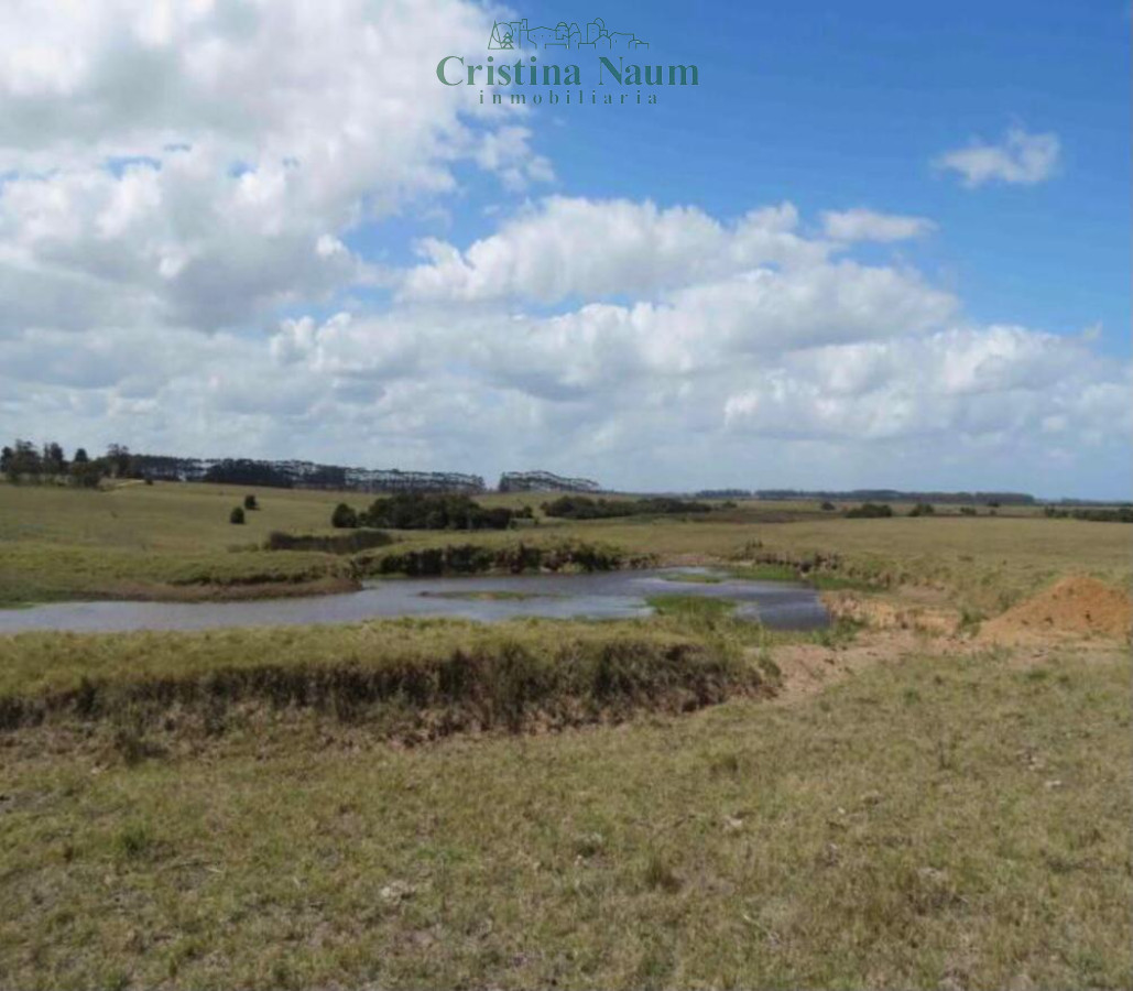 Laguna Garzón - GoPunta - Portal Inmobiliario de Punta del Este - Maldonado