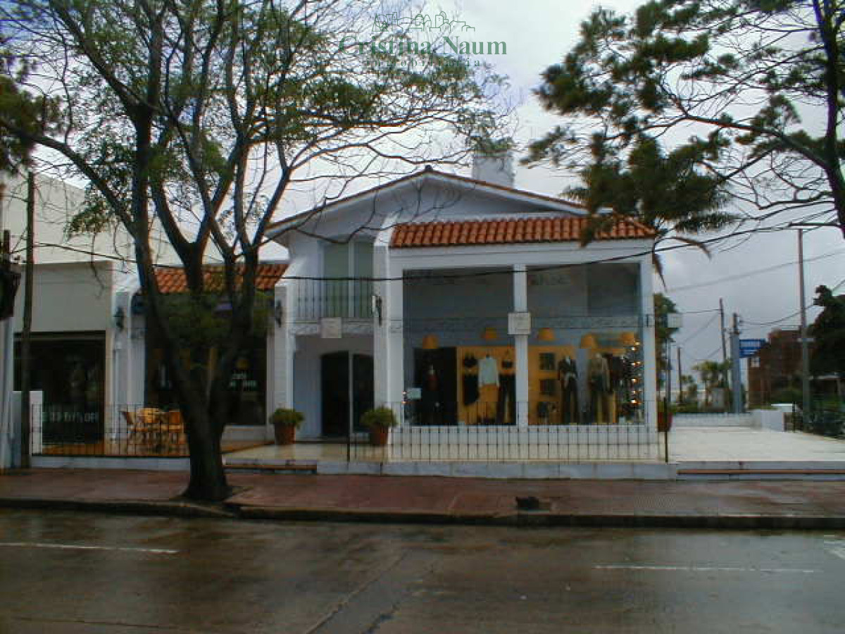 Península - GoPunta - Portal Inmobiliario de Punta del Este - Maldonado