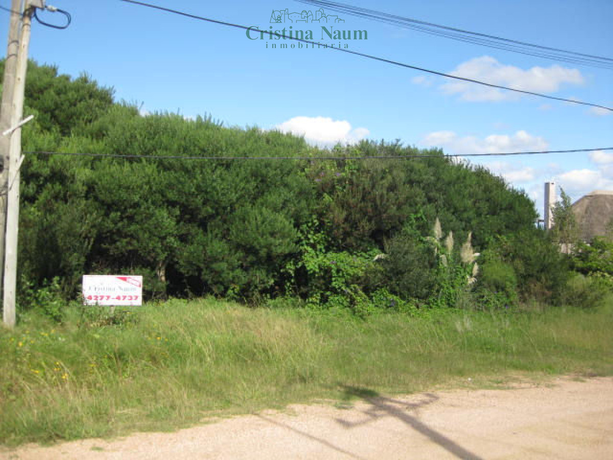 El Chorro - GoPunta - Portal Inmobiliario de Punta del Este - Maldonado