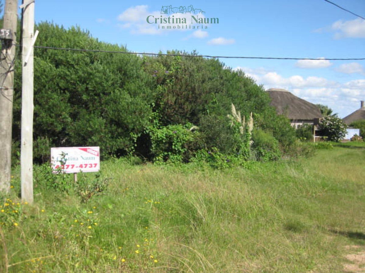 El Chorro - GoPunta - Portal Inmobiliario de Punta del Este - Maldonado