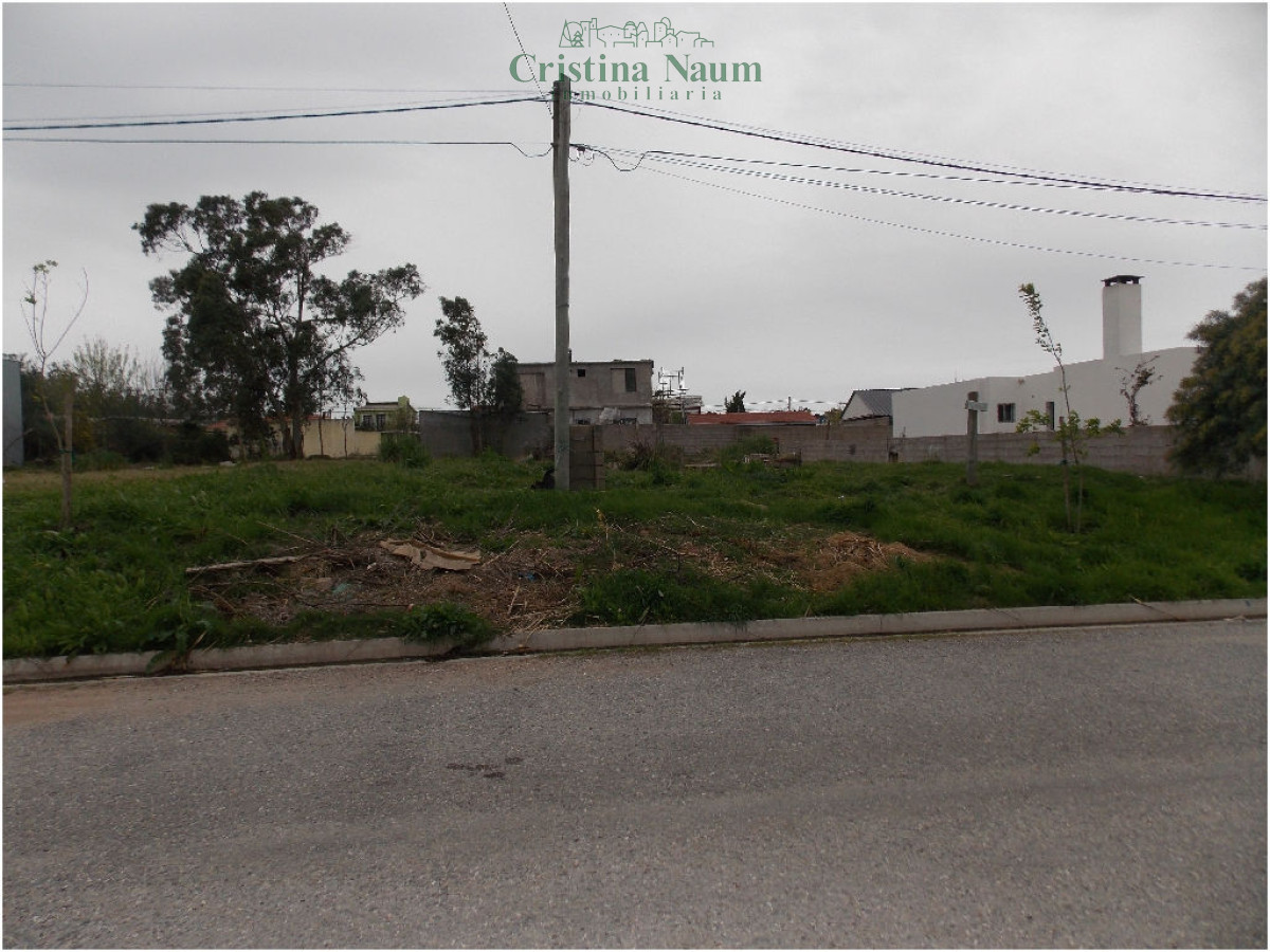 Maldonado - GoPunta - Portal Inmobiliario de Punta del Este - Maldonado