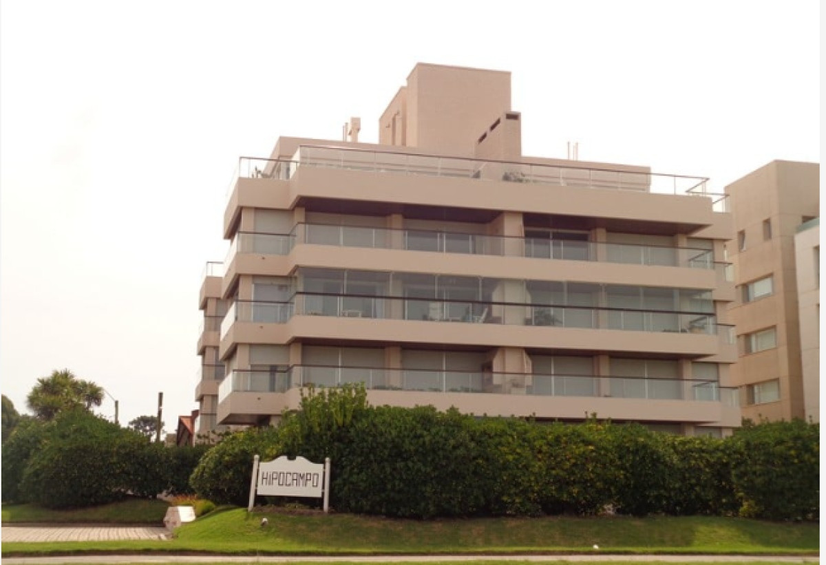 Proyecto HIPOCAMPO
