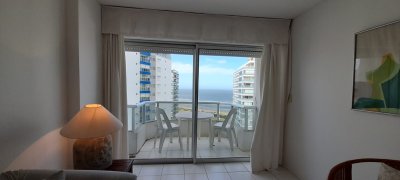 Apartamento en venta en Punta del Este, Playa Brava